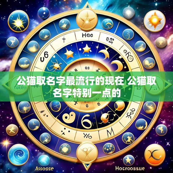 公猫取名字最流行的现在 公猫取名字特别一点的