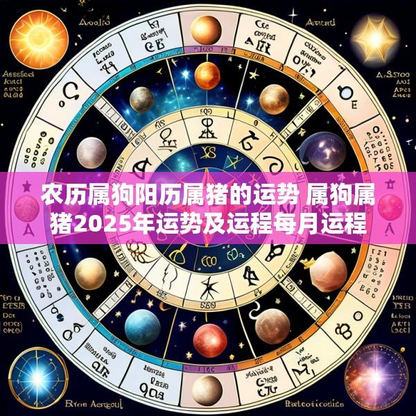 农历属狗阳历属猪的运势 属狗属猪2025年运势及运程每月运程