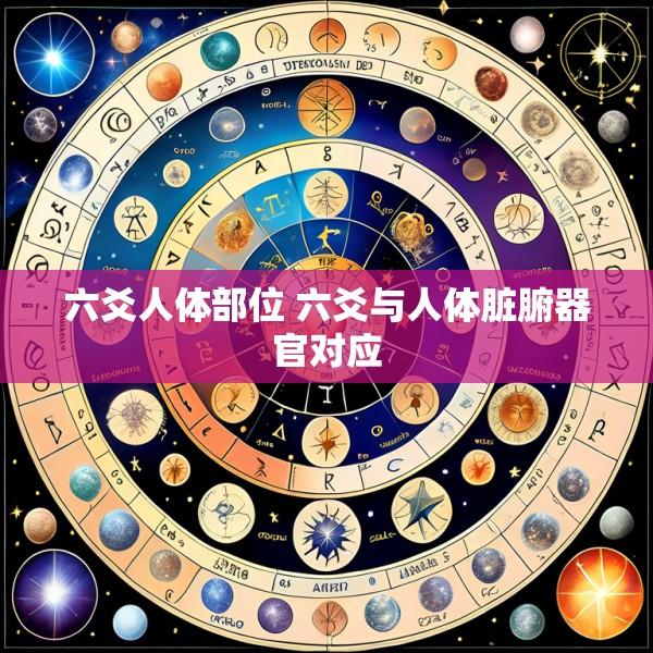 六爻人体部位 六爻与人体脏腑器官对应
