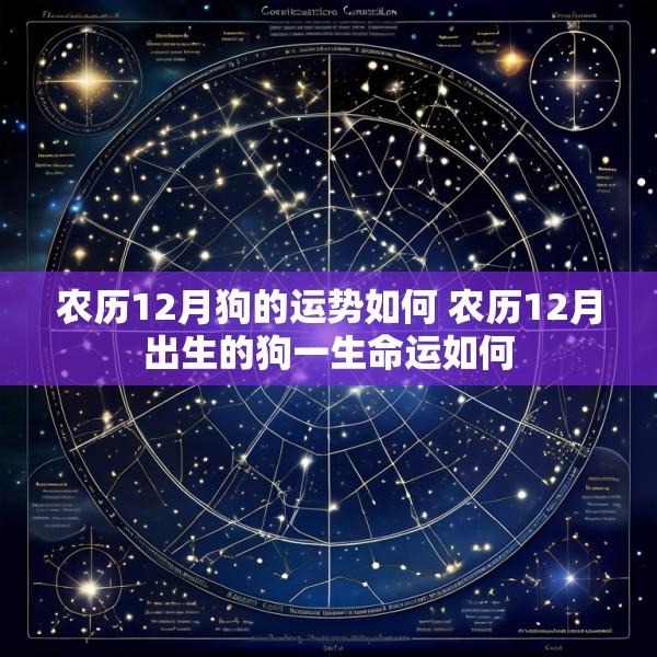 农历12月狗的运势如何 农历12月出生的狗一生命运如何