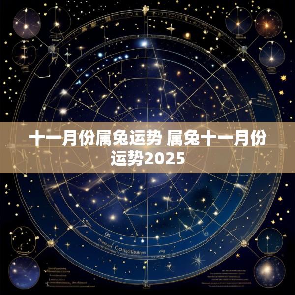 十一月份属兔运势 属兔十一月份运势2025