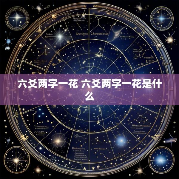 六爻两字一花 六爻两字一花是什么