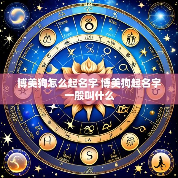 博美狗怎么起名字 博美狗起名字一般叫什么