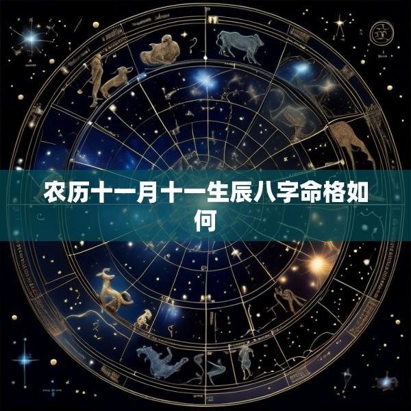 农历十一月十一生辰八字命格如何