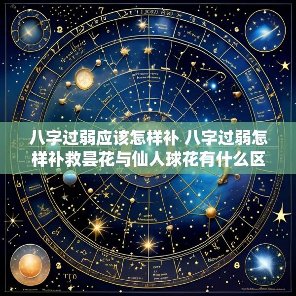八字过弱应该怎样补 八字过弱怎样补救昙花与仙人球花有什么区别
