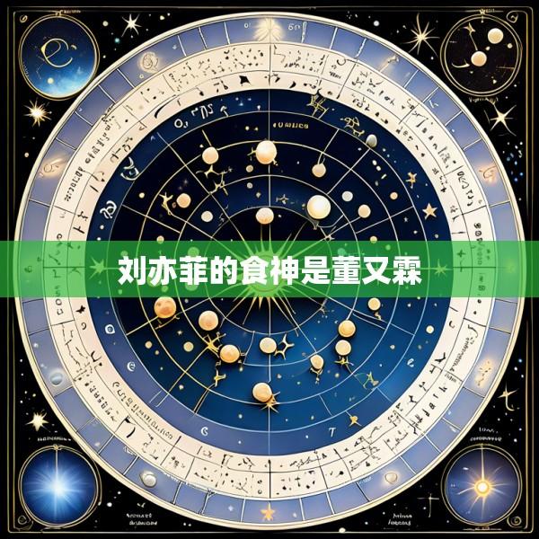 刘亦菲的食神是董又霖