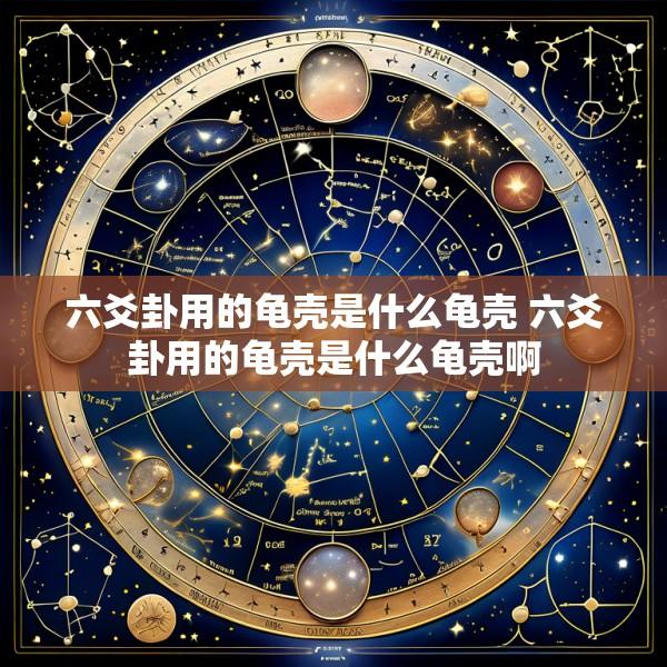 六爻卦用的龟壳是什么龟壳 六爻卦用的龟壳是什么龟壳啊