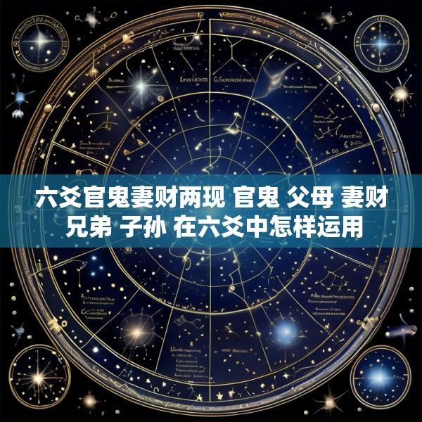 六爻官鬼妻财两现 官鬼 父母 妻财 兄弟 子孙 在六爻中怎样运用