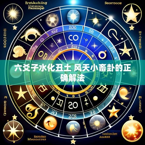 六爻子水化丑土 风天小畜卦的正确解法