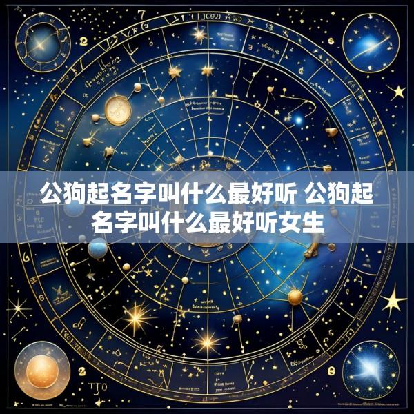公狗起名字叫什么最好听 公狗起名字叫什么最好听女生