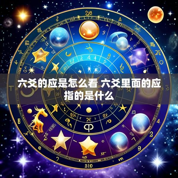 六爻的应是怎么看 六爻里面的应指的是什么