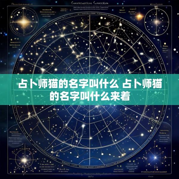 占卜师猫的名字叫什么 占卜师猫的名字叫什么来着