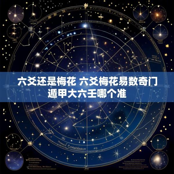 六爻还是梅花 六爻梅花易数奇门遁甲大六壬哪个准