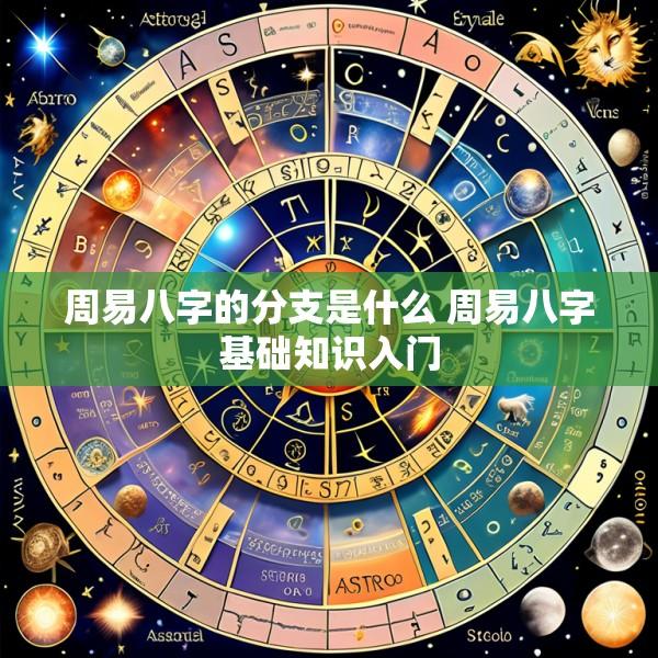 周易八字的分支是什么 周易八字基础知识入门
