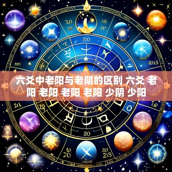 六爻中老阳与老阴的区别 六爻 老阳 老阳 老阳 老阳 少阴 少阳