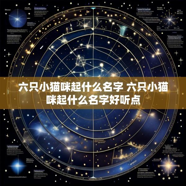 六只小猫咪起什么名字 六只小猫咪起什么名字好听点