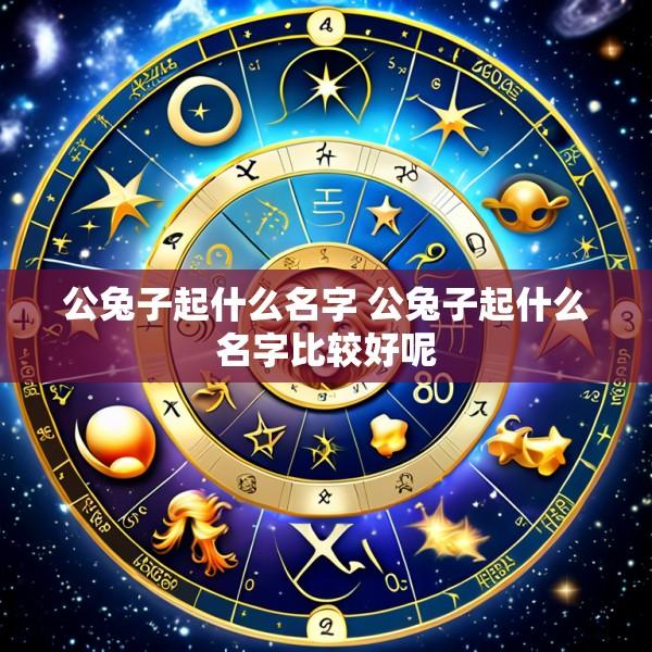 公兔子起什么名字 公兔子起什么名字比较好呢