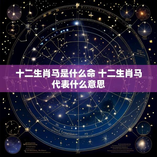 十二生肖马是什么命 十二生肖马代表什么意思