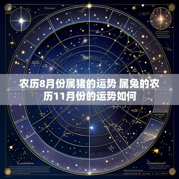 农历8月份属猪的运势 属兔的农历11月份的运势如何