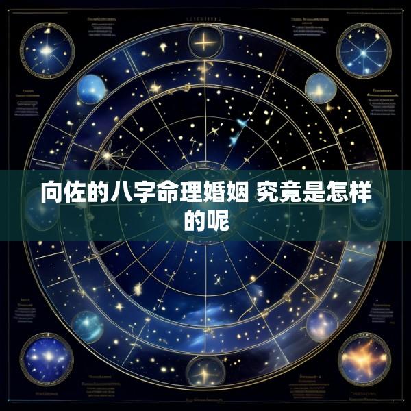 向佐的八字命理婚姻 究竟是怎样的呢