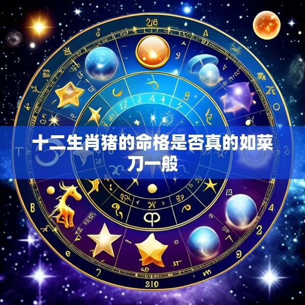 十二生肖猪的命格是否真的如菜刀一般