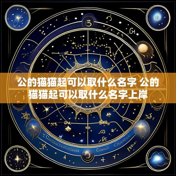 公的猫猫起可以取什么名字 公的猫猫起可以取什么名字上岸