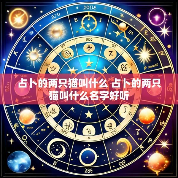 占卜的两只猫叫什么 占卜的两只猫叫什么名字好听