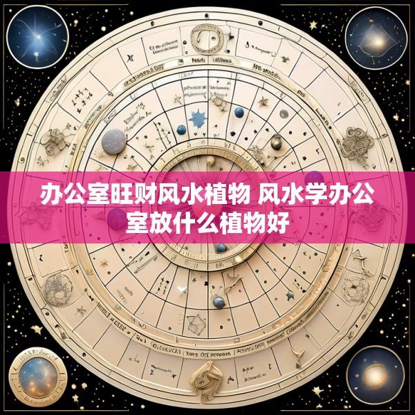 办公室旺财风水植物 风水学办公室放什么植物好