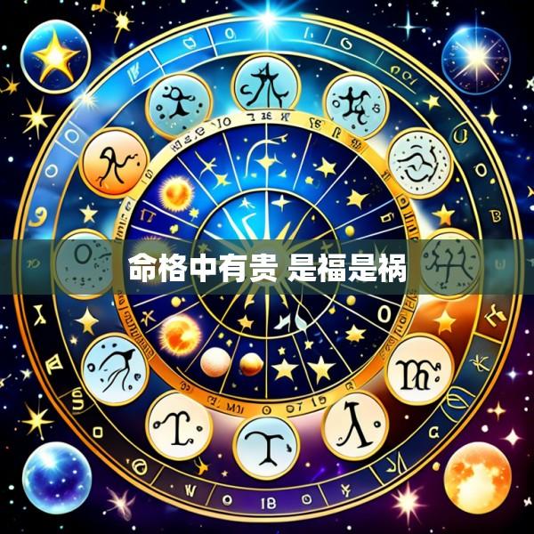命格中有贵 是福是祸