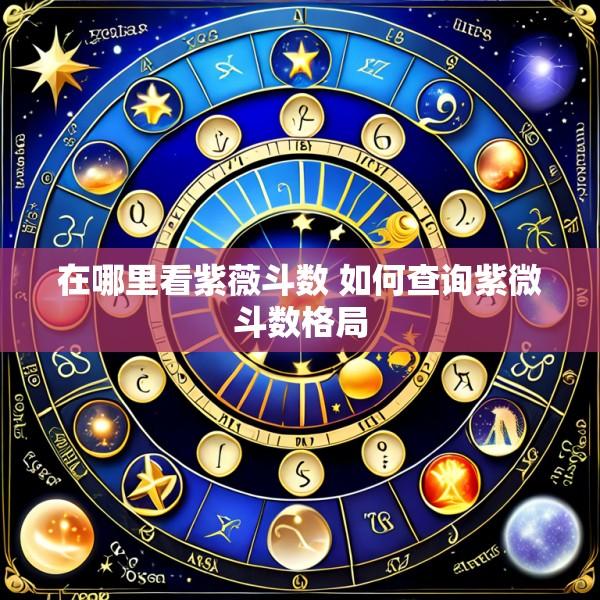 在哪里看紫薇斗数 如何查询紫微斗数格局