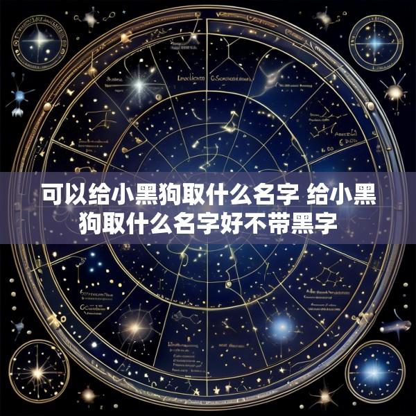 可以给小黑狗取什么名字 给小黑狗取什么名字好不带黑字