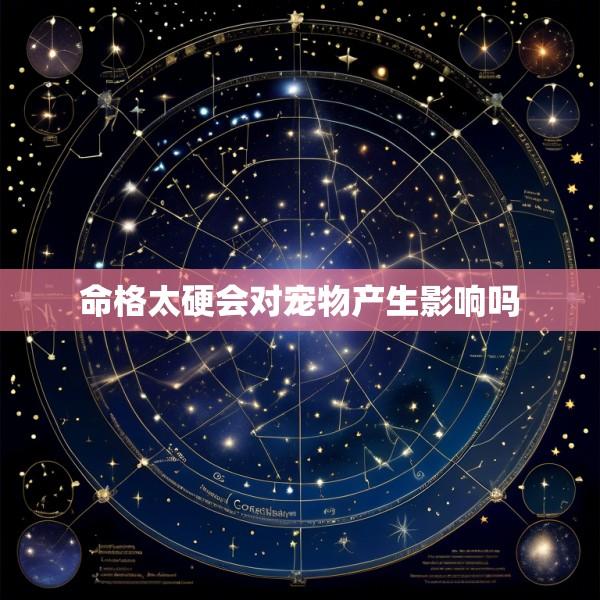 命格太硬会对宠物产生影响吗