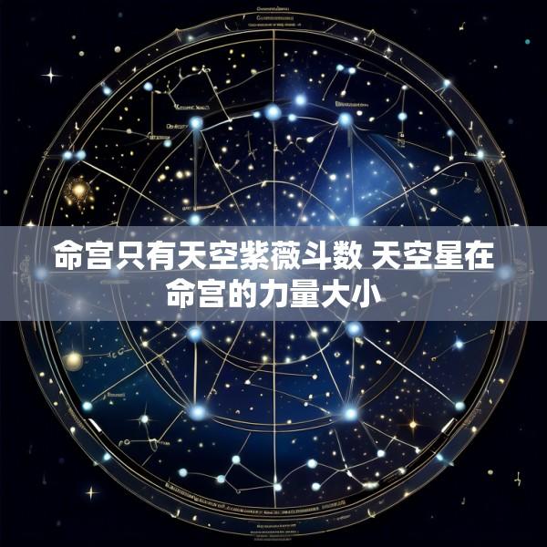 命宫只有天空紫薇斗数 天空星在命宫的力量大小