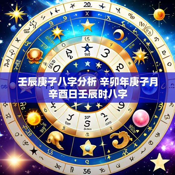 壬辰庚子八字分析 辛卯年庚子月辛酉日壬辰时八字