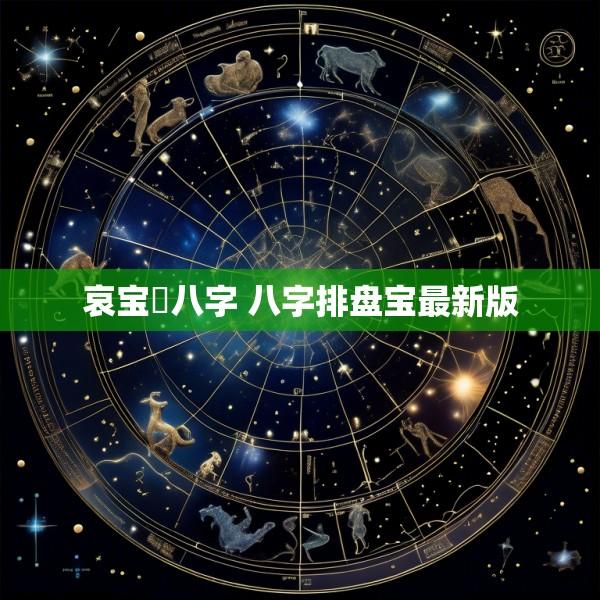 哀宝璟八字 八字排盘宝最新版