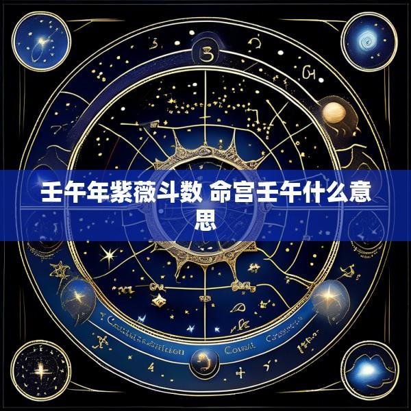 壬午年紫薇斗数 命宫壬午什么意思