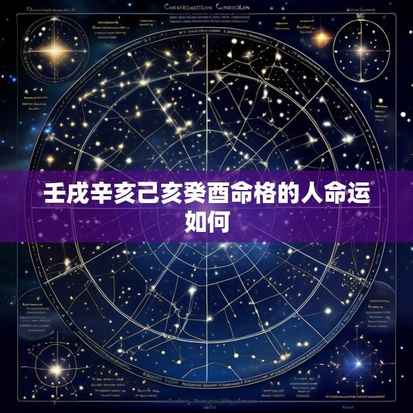 壬戌辛亥己亥癸酉命格的人命运如何
