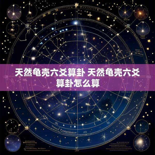 天然龟壳六爻算卦 天然龟壳六爻算卦怎么算