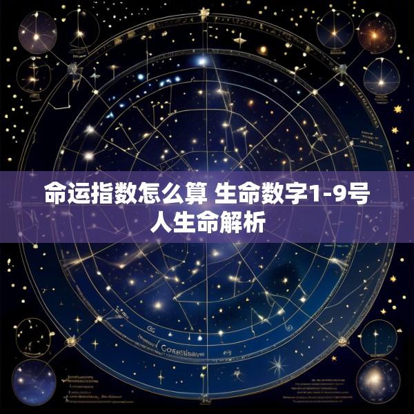 命运指数怎么算 生命数字1-9号人生命解析
