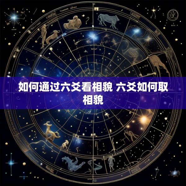 如何通过六爻看相貌 六爻如何取相貌