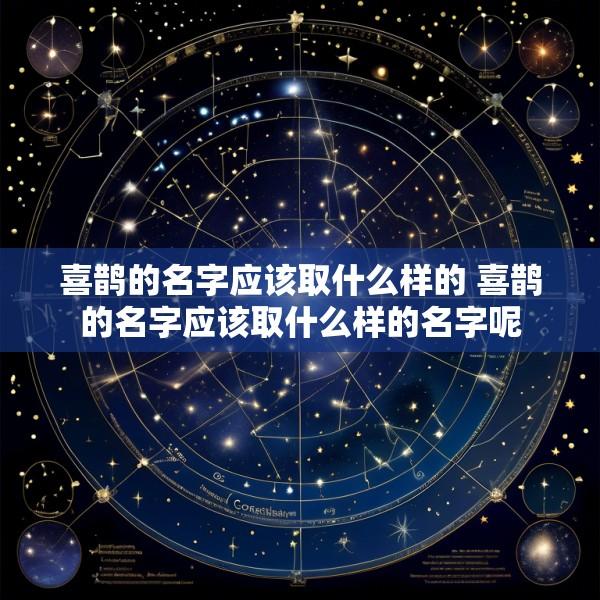 喜鹊的名字应该取什么样的 喜鹊的名字应该取什么样的名字呢