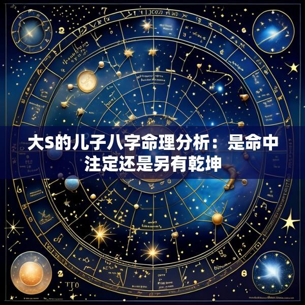 大S的儿子八字命理分析：是命中注定还是另有乾坤