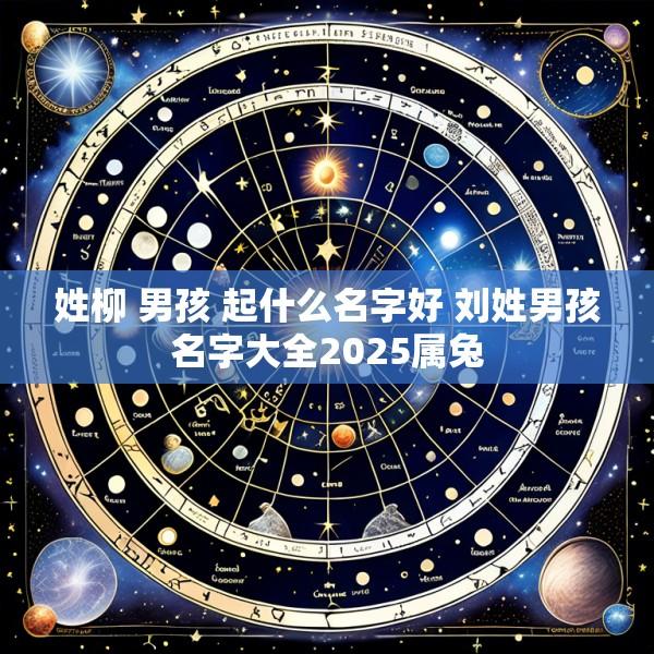 姓柳 男孩 起什么名字好 刘姓男孩名字大全2025属兔