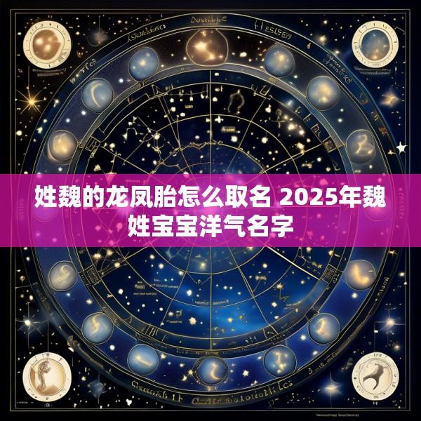 姓魏的龙凤胎怎么取名 2025年魏姓宝宝洋气名字