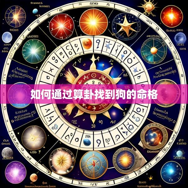 如何通过算卦找到狗的命格