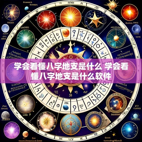 学会看懂八字地支是什么 学会看懂八字地支是什么软件