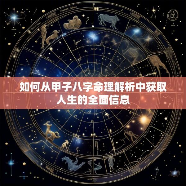 如何从甲子八字命理解析中获取人生的全面信息