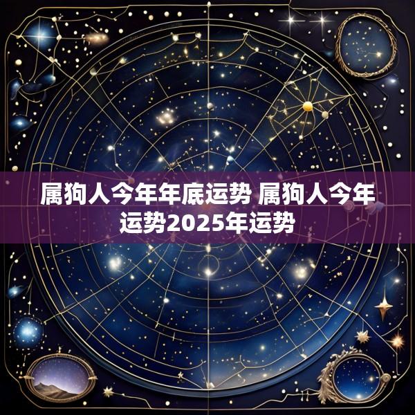 属狗人今年年底运势 属狗人今年运势2025年运势