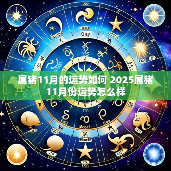 属猪11月的运势如何 2025属猪11月份运势怎么样