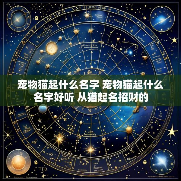 宠物猫起什么名字 宠物猫起什么名字好听 从猫起名招财的